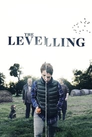 The Levelling (2017)